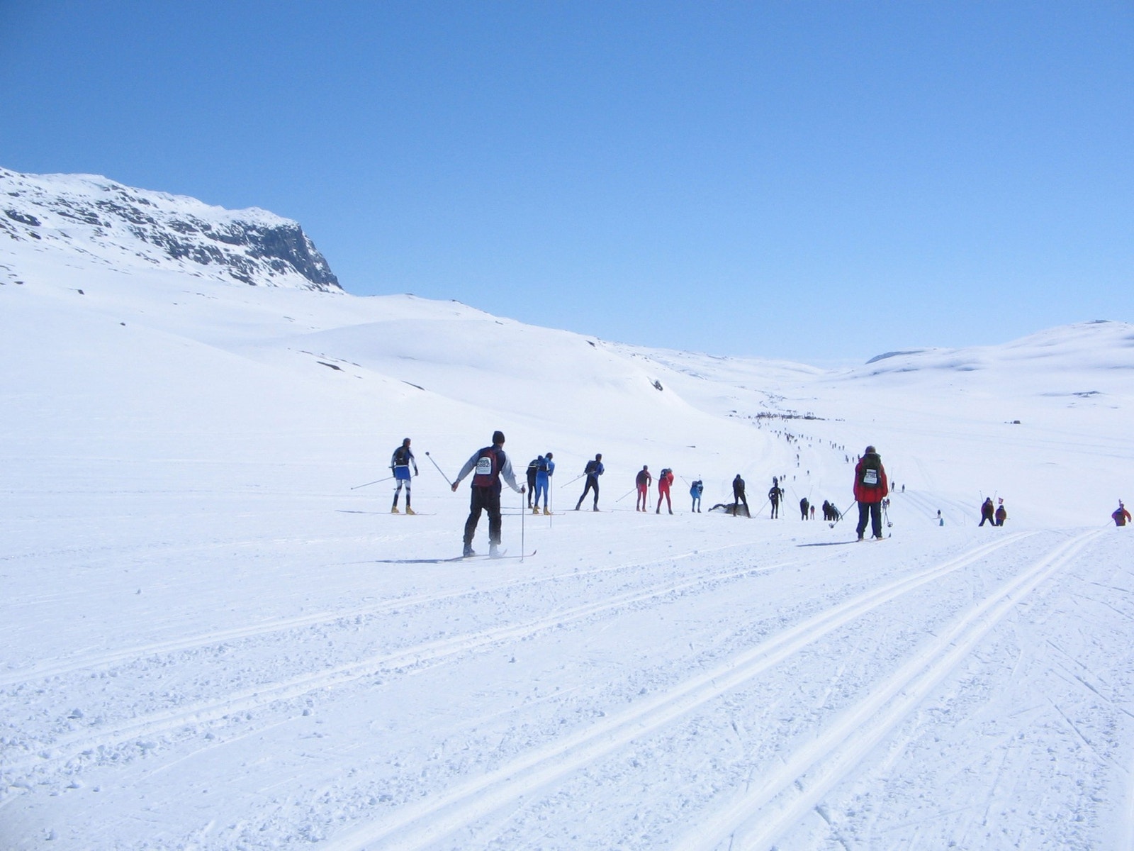 Skarvetrennet. Galleribilde