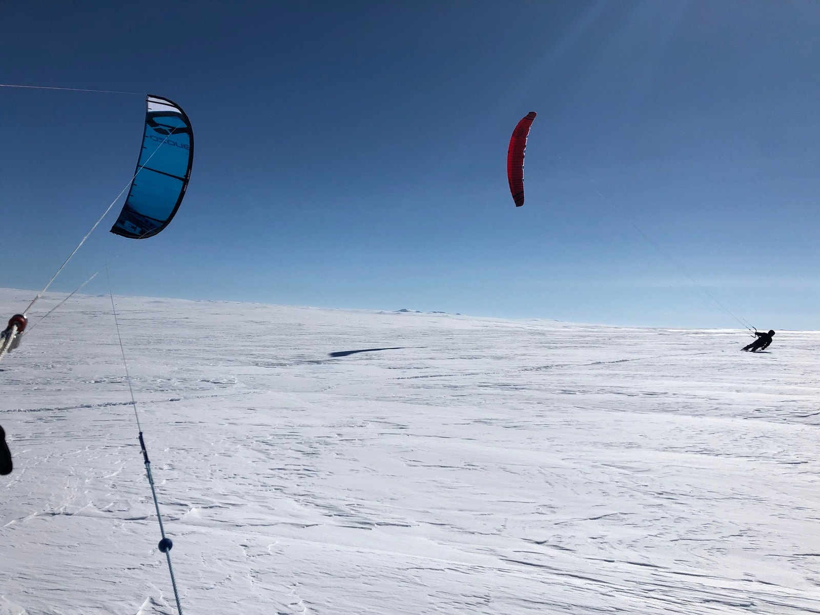 Selgers bilde Galleribilde