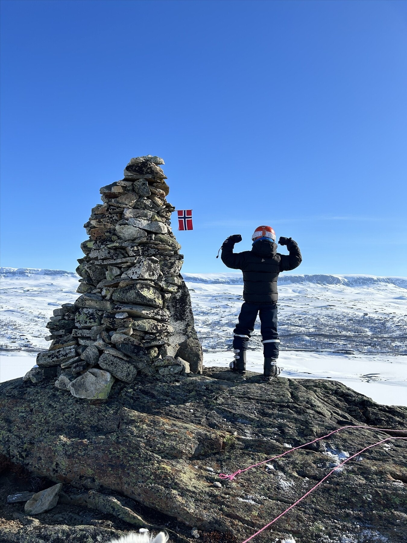 Selgers bilde Galleribilde