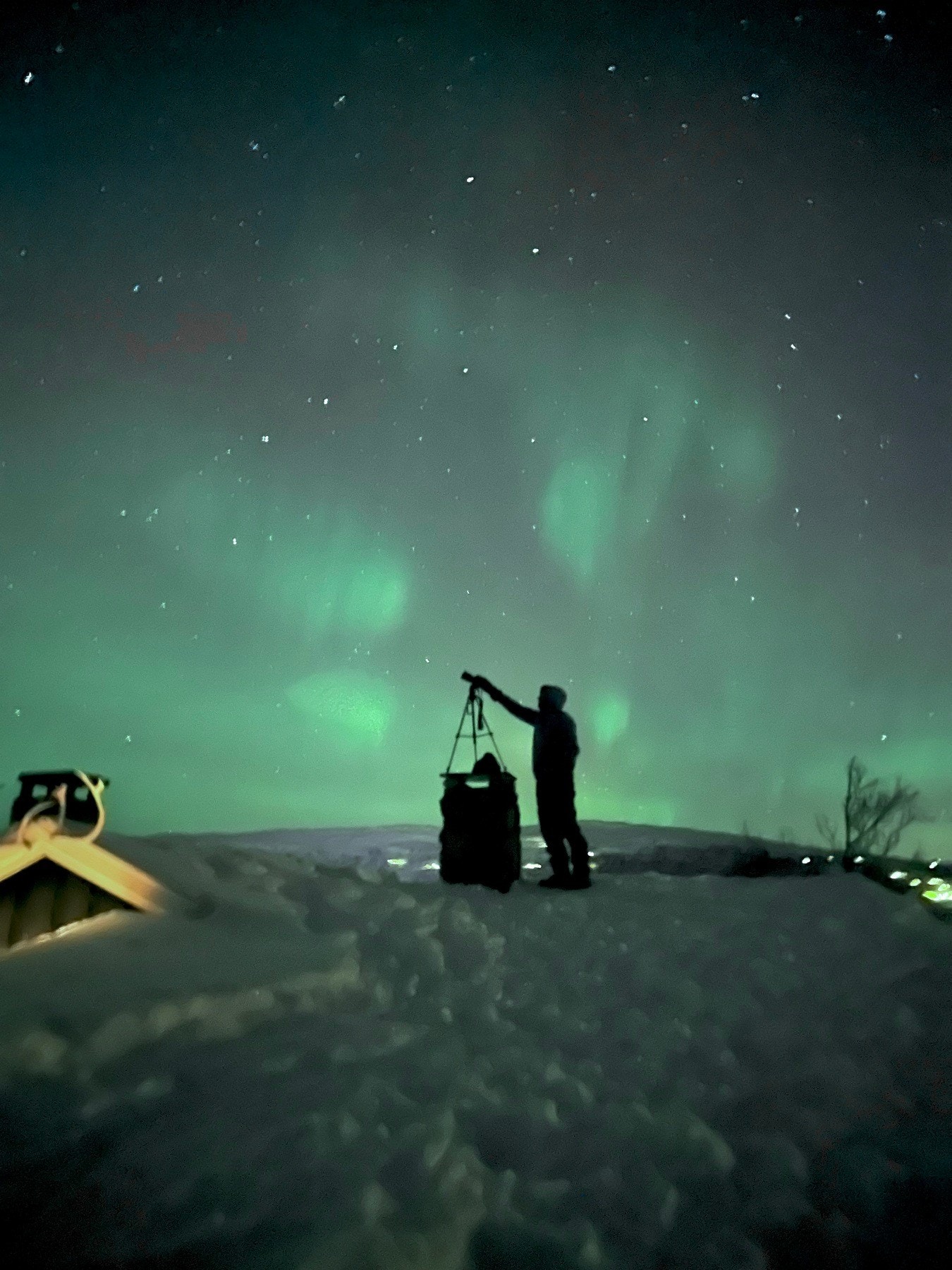 Selgers bilde Galleribilde