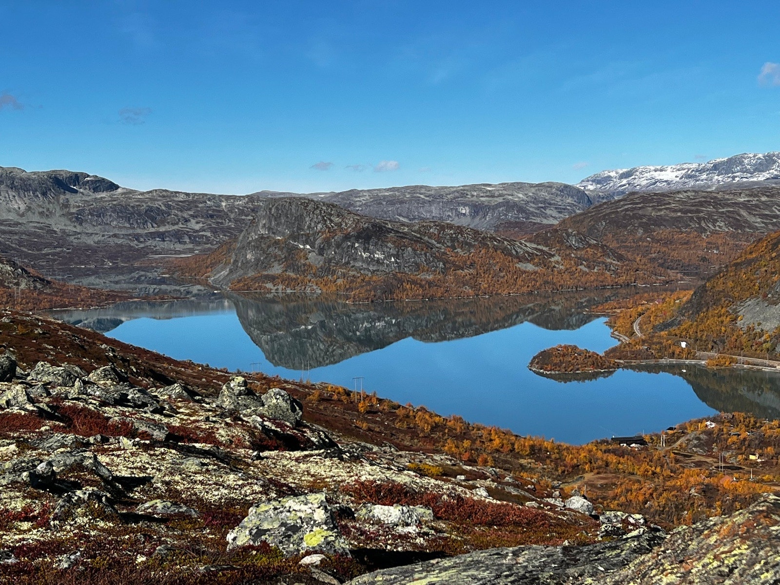 Selgers bilde Galleribilde