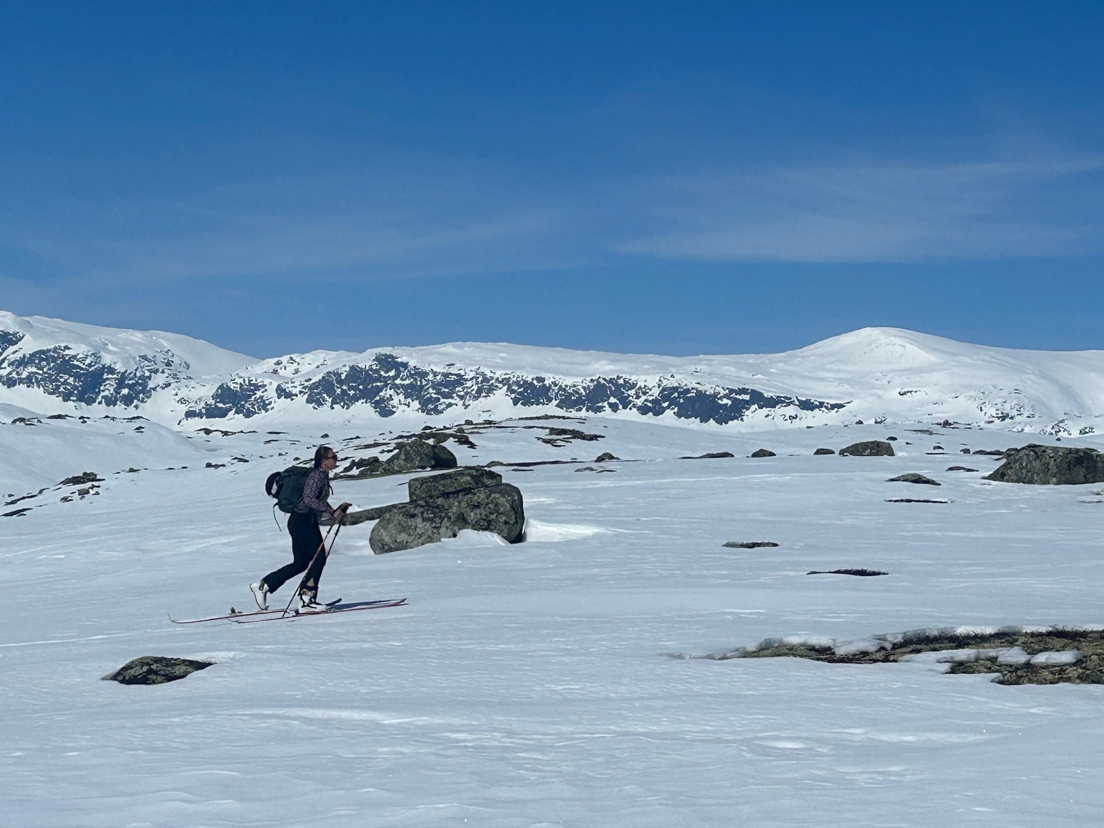 Selgers bilde Galleribilde