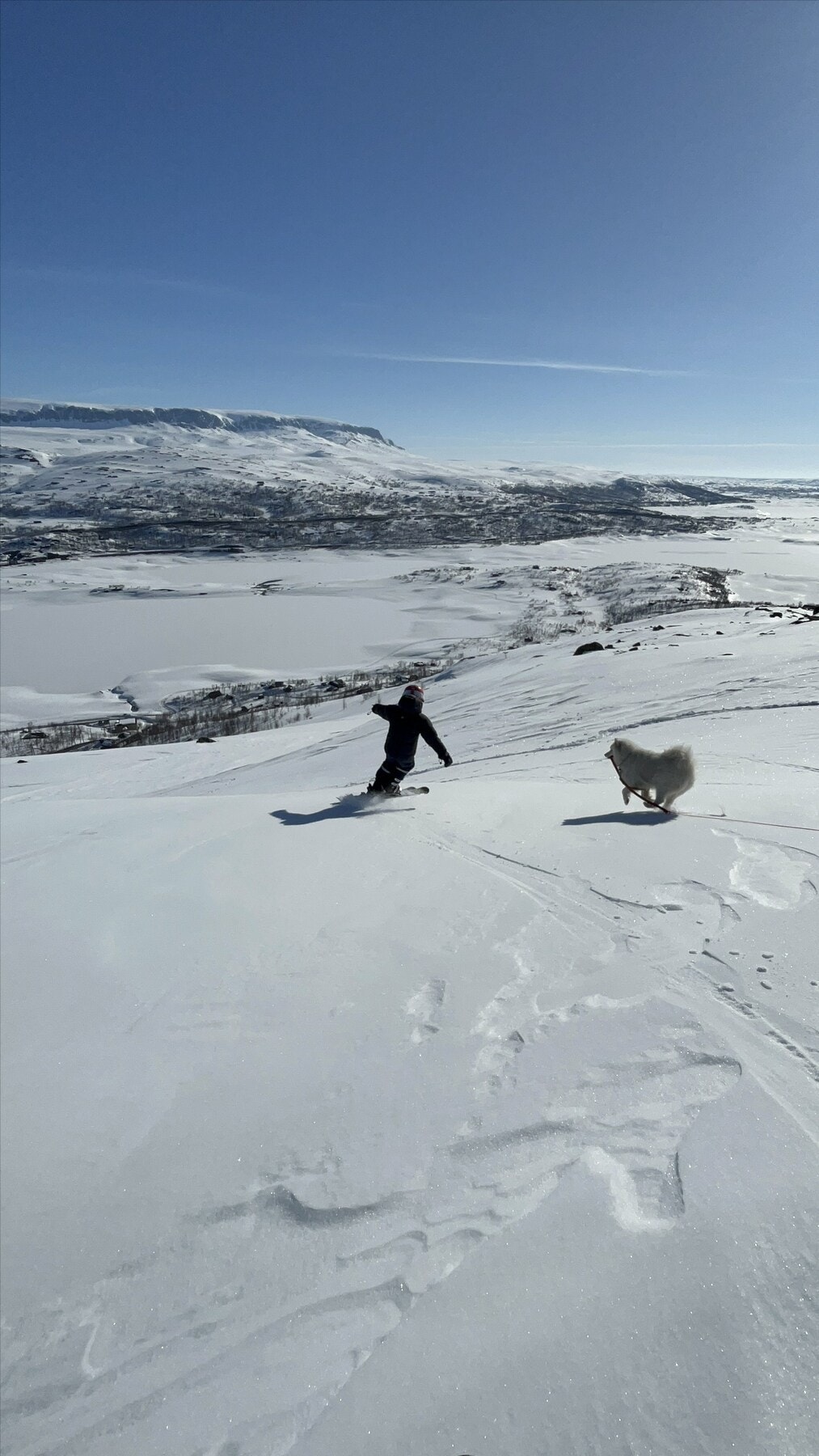 Selgers bilde Galleribilde