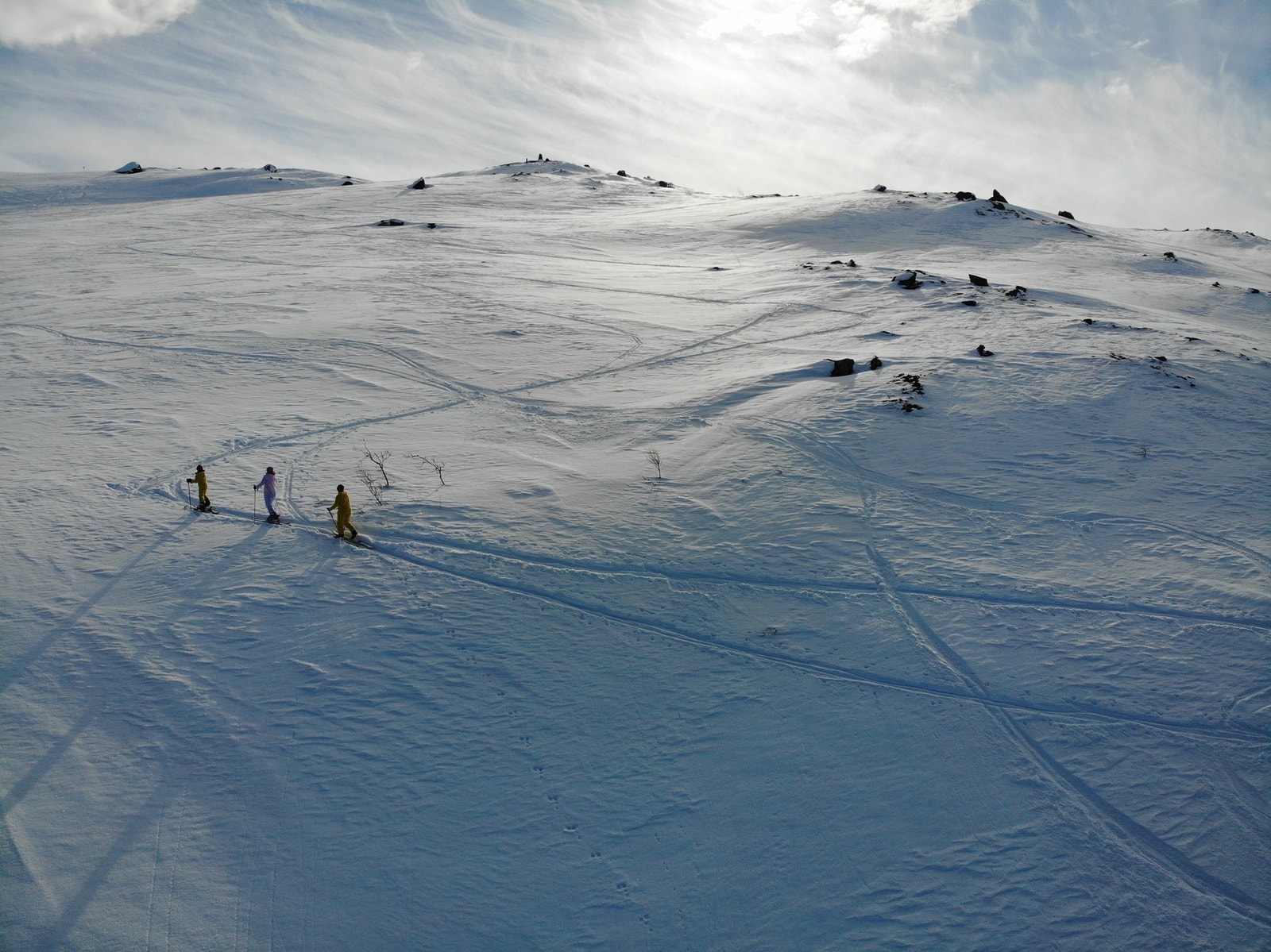 Selgers bilde Galleribilde