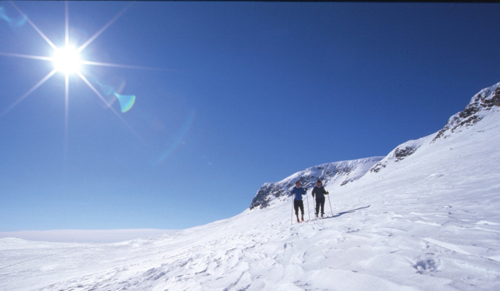 Langrenn skarvet sol. Galleribilde