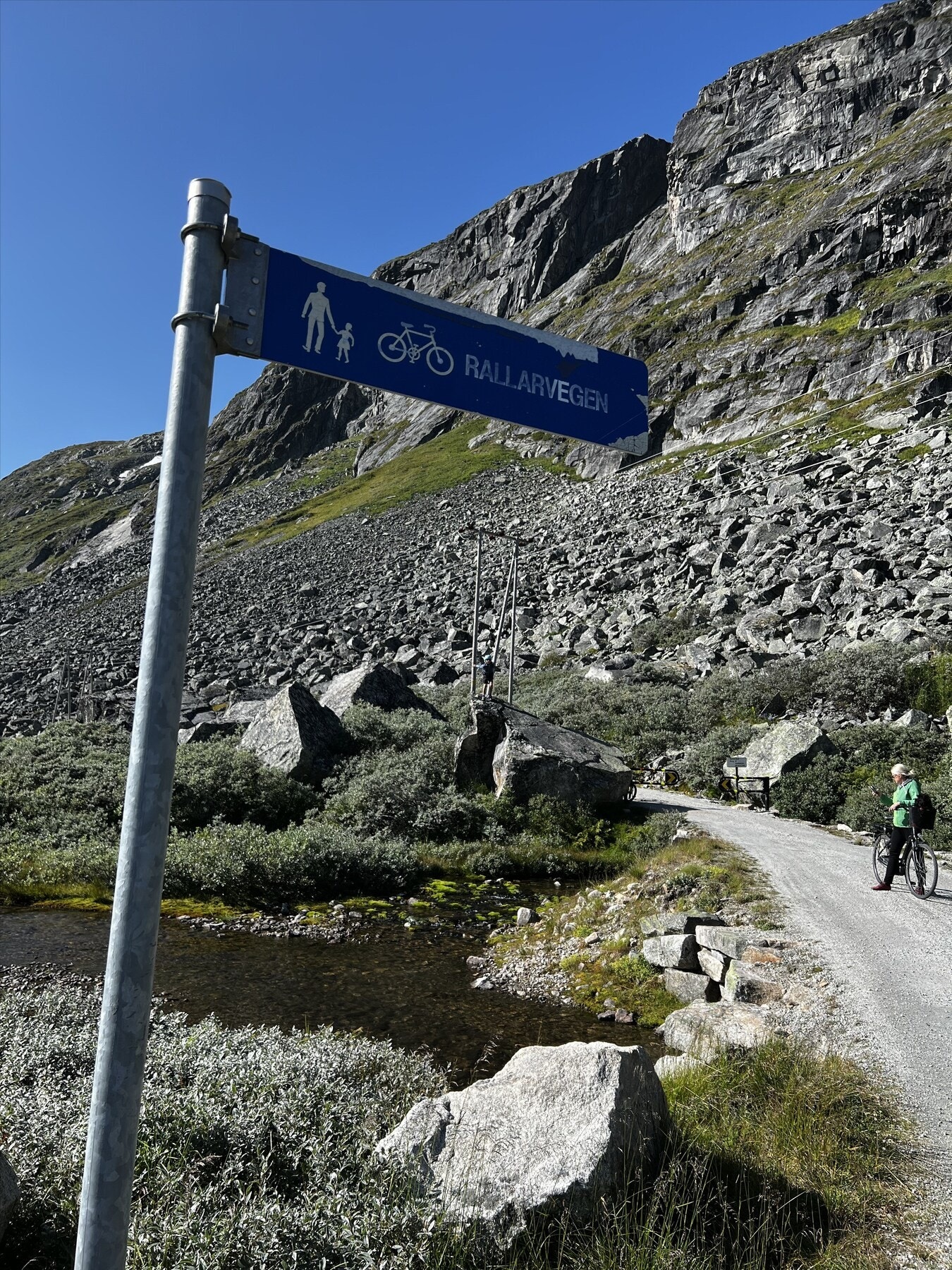 Selgers bilde Galleribilde