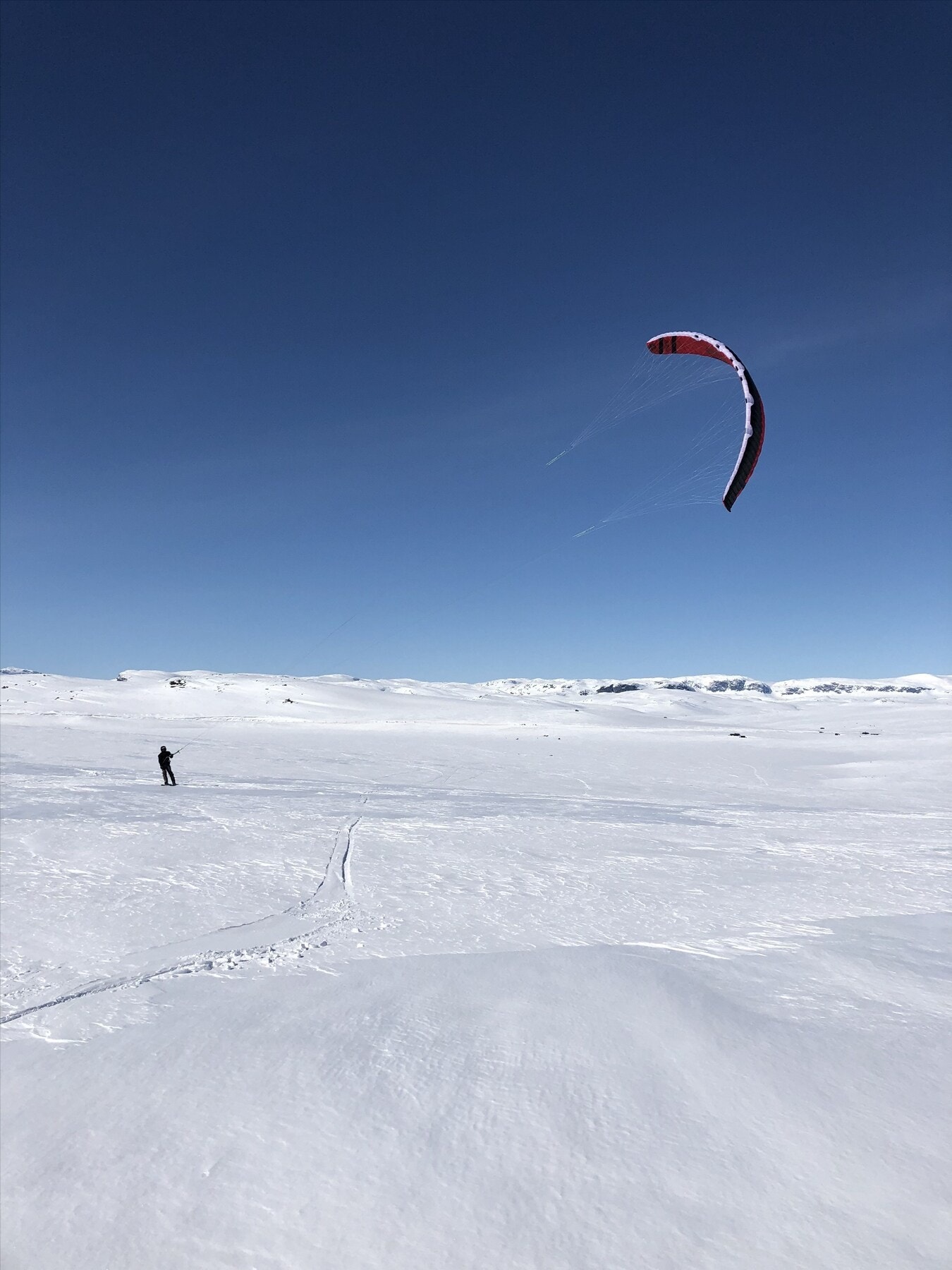 Selgers bilde Galleribilde