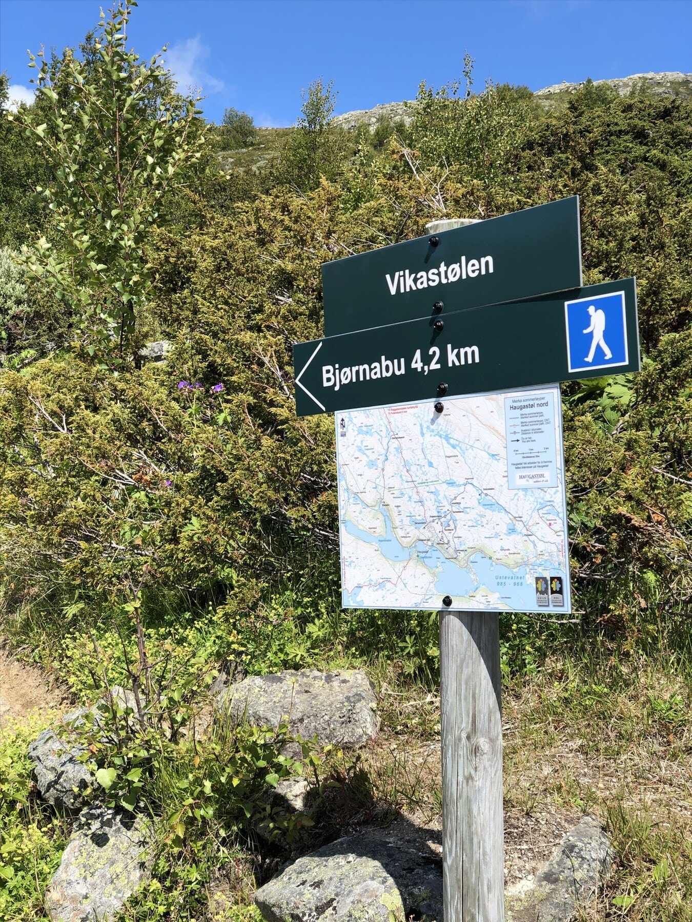 Selgers bilde Galleribilde