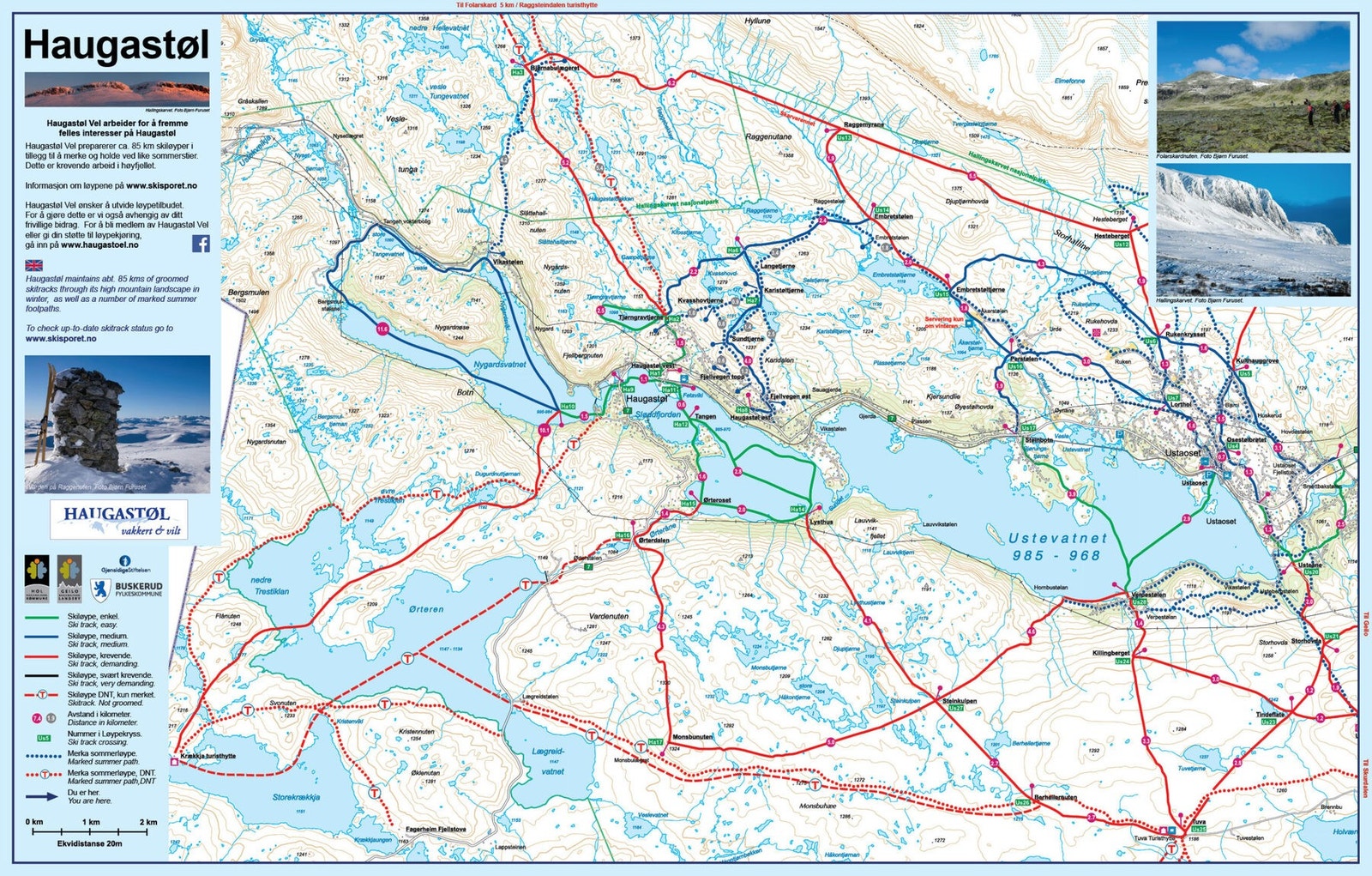 Turkart haugastøl (fra Haugastøl vel) Galleribilde