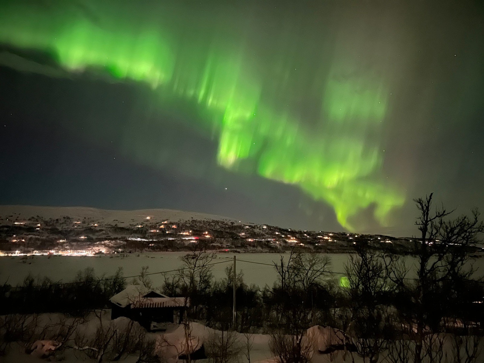 Selgers bilde Galleribilde