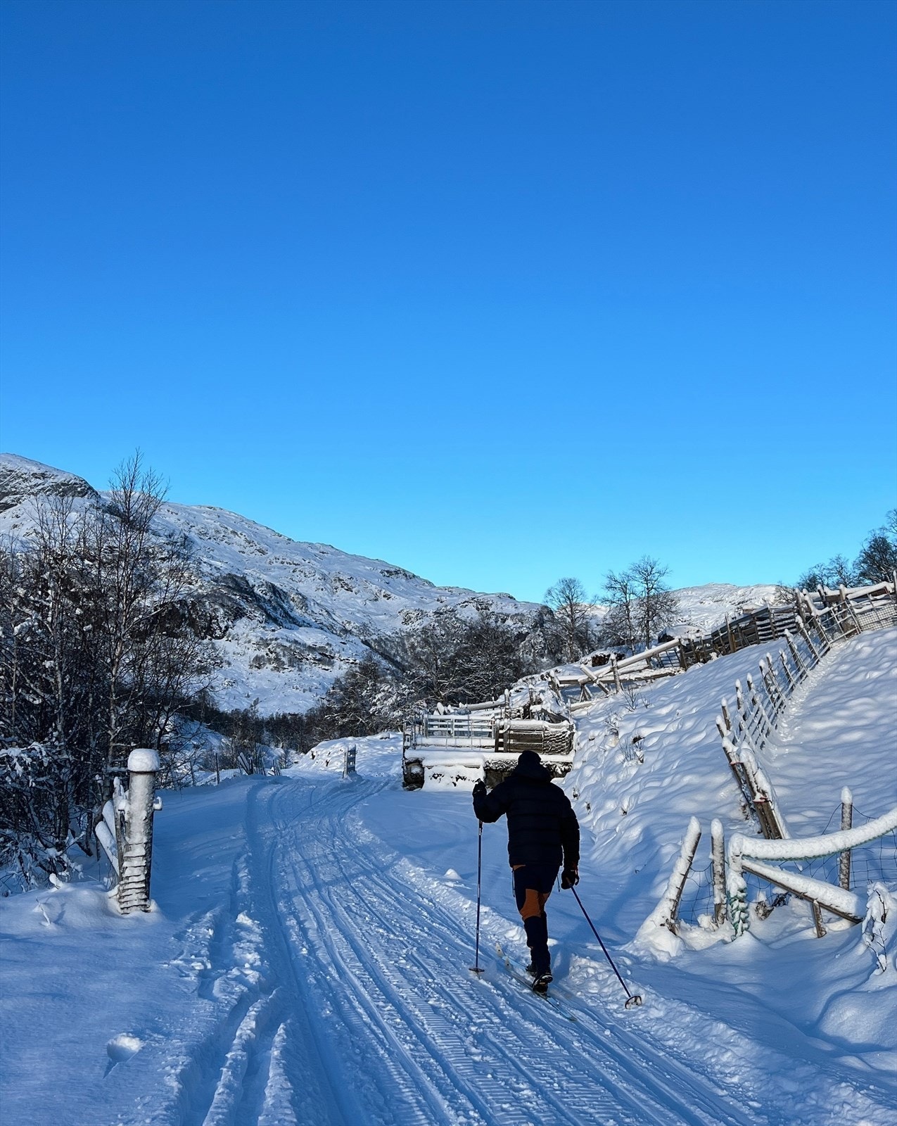 Skiløype innover Åbødalen Galleribilde