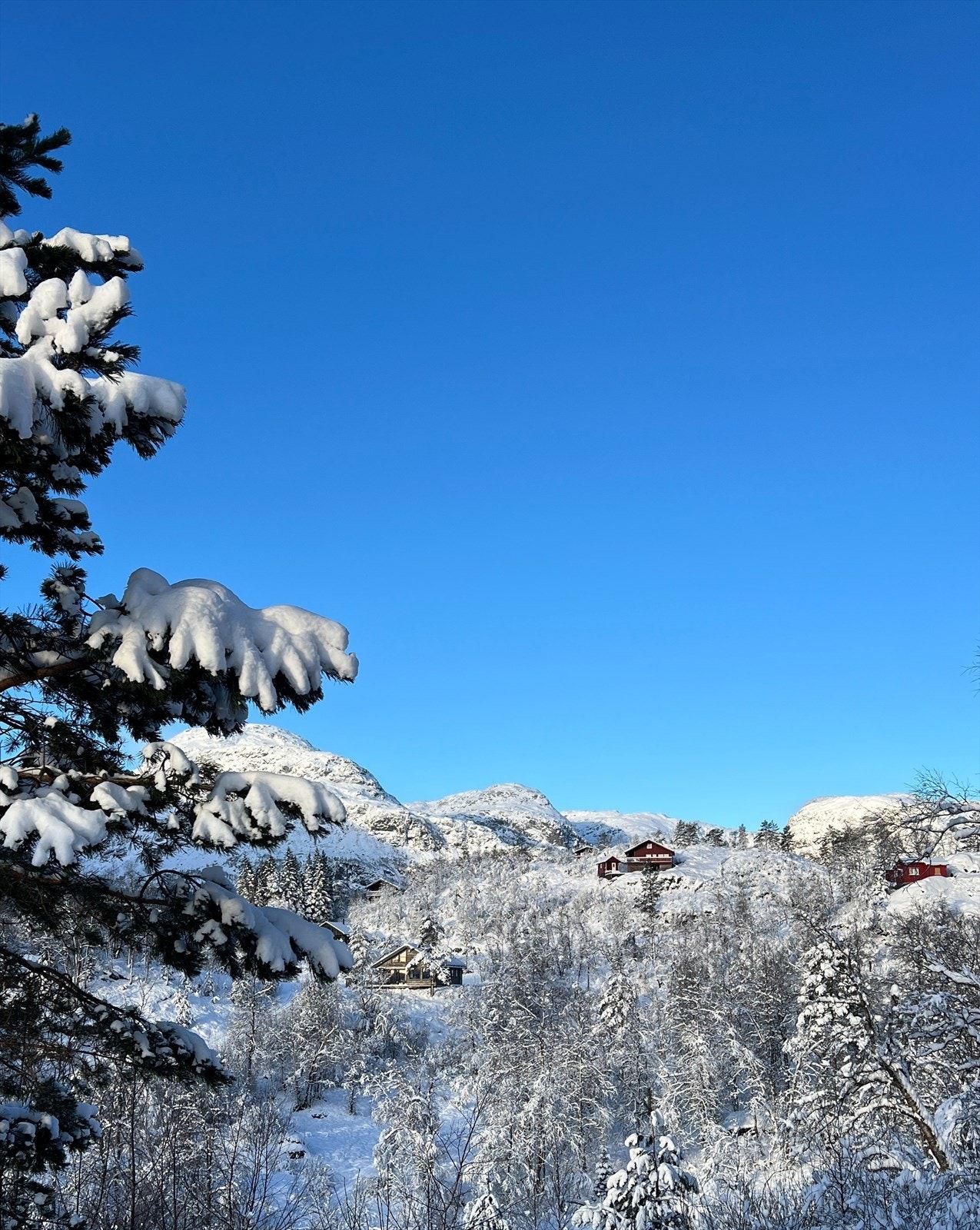 Vinterstemning ved hytta Galleribilde