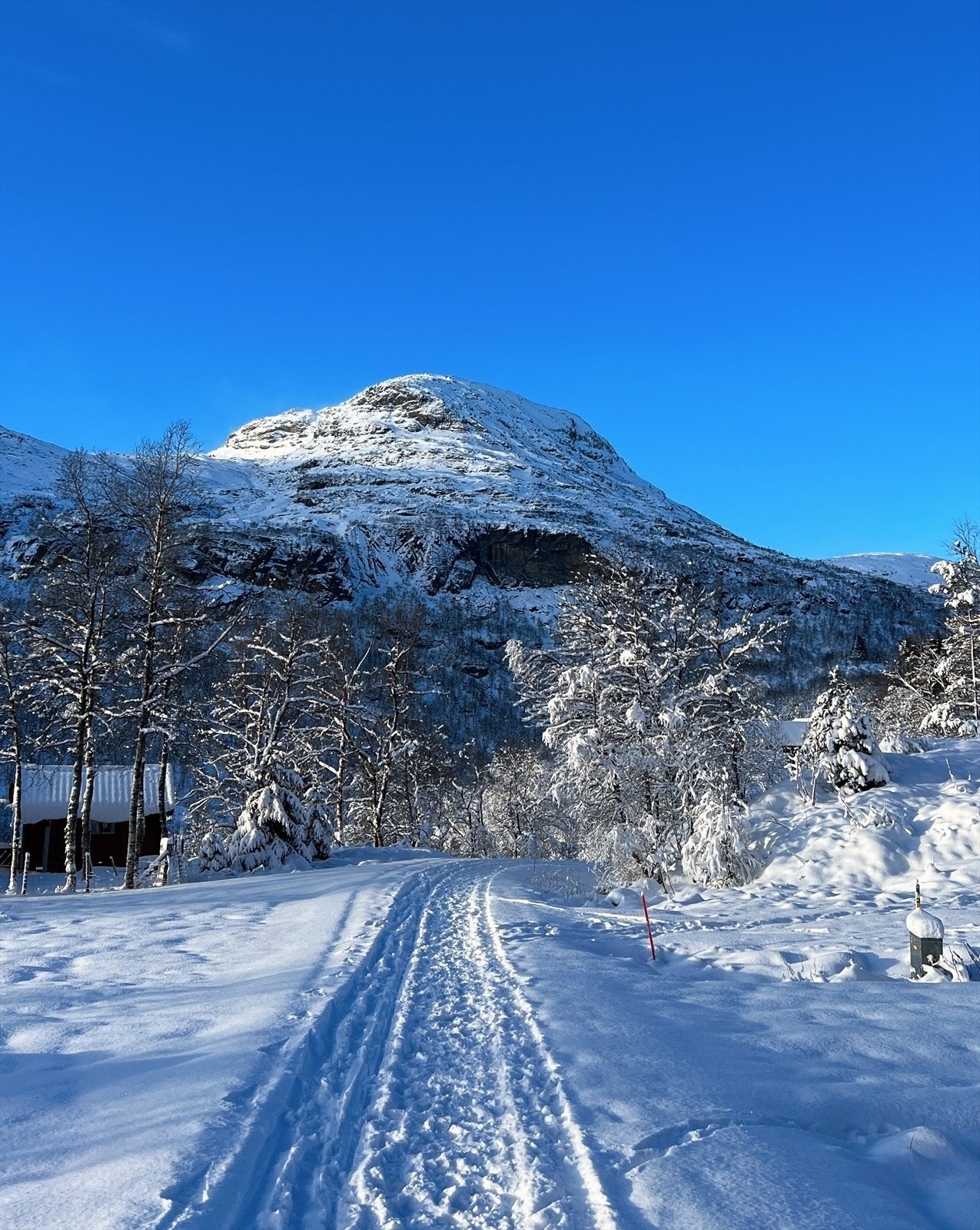 Vinterstemning Åbødalen Galleribilde