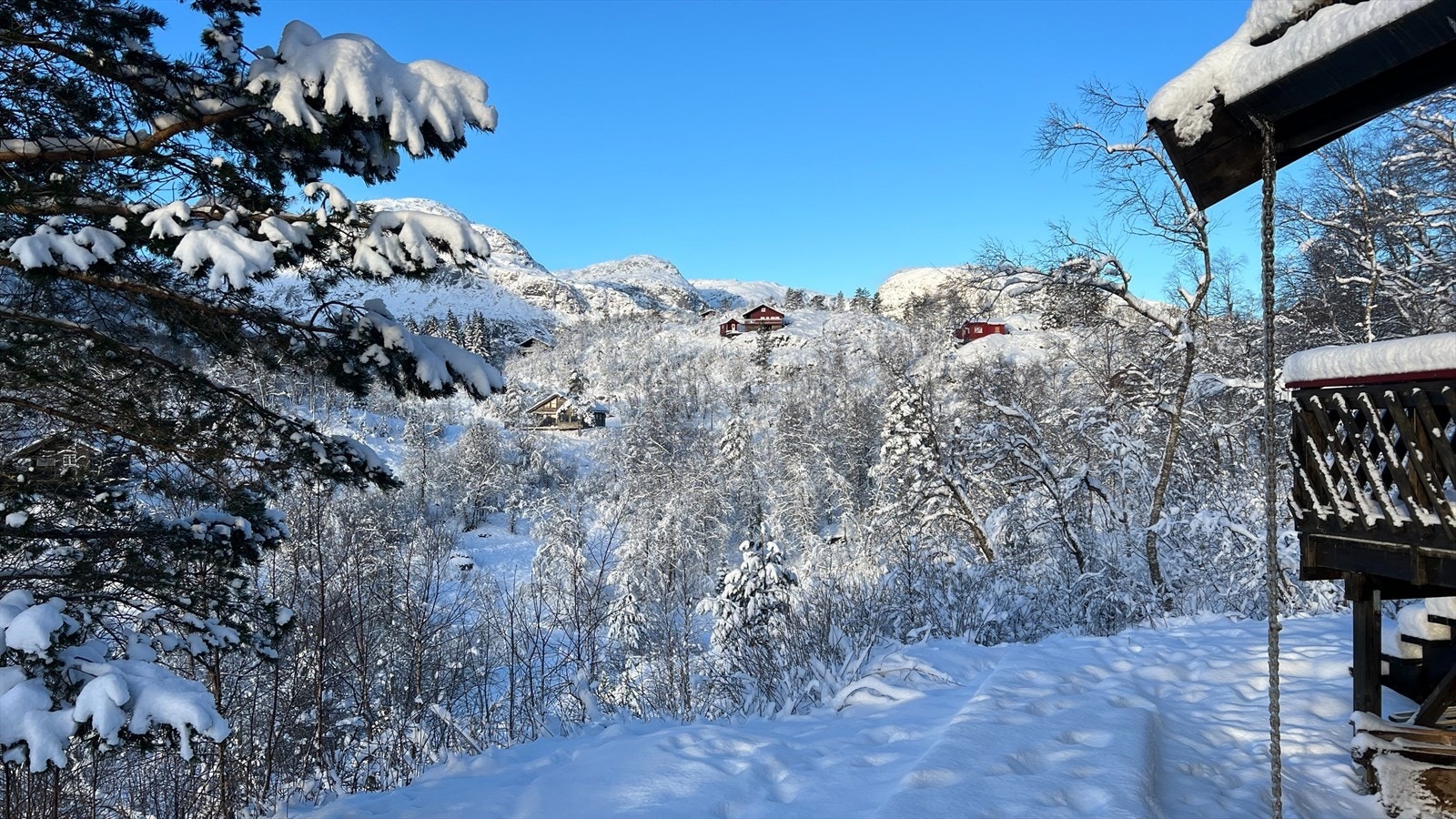 Utsikt vinter Galleribilde