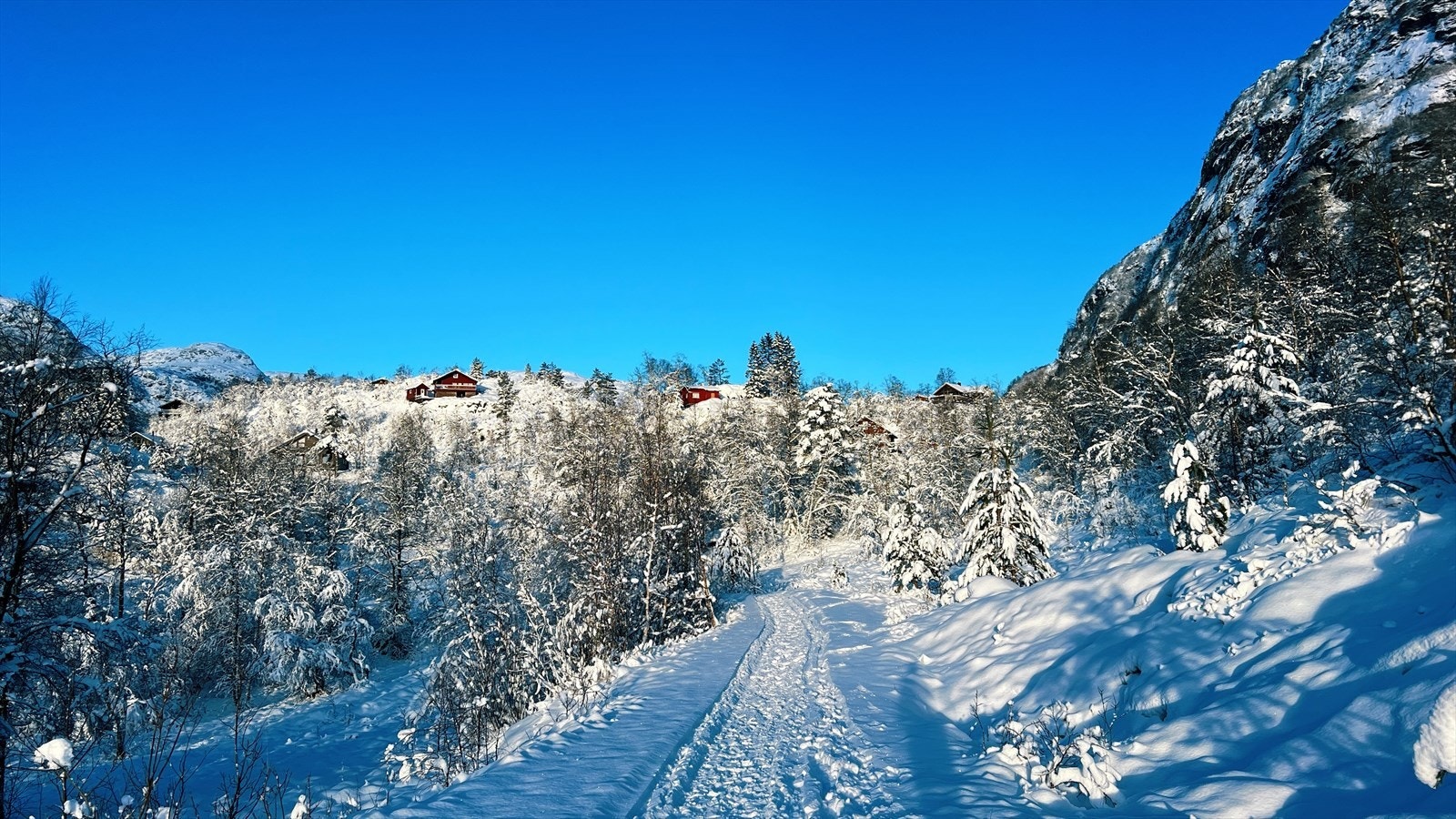 Vinterstemning Åbødalen Galleribilde
