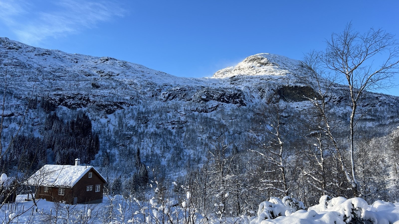 Utsikt vinter Galleribilde