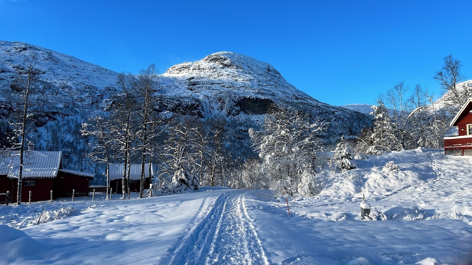 Veien ned til hytta Galleribilde