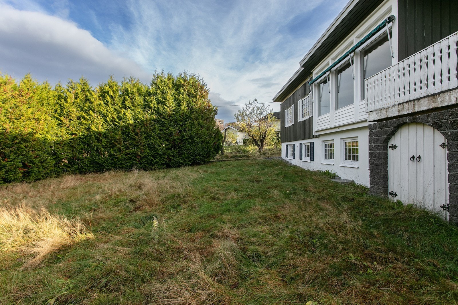 Hage skjermet med Tujahekker Galleribilde