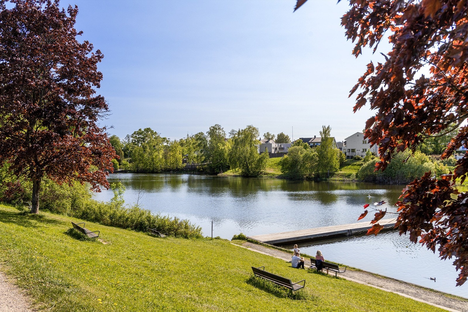 Holmendammen, sør i parken. Galleribilde