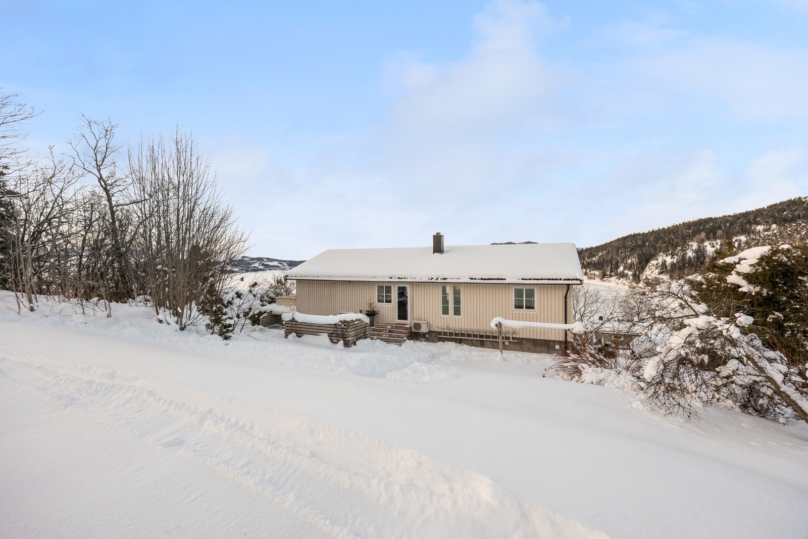 Fasade bakside Galleribilde