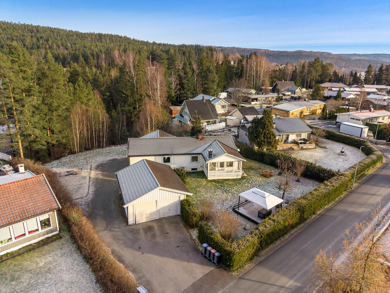 Nærområdet. Galleribilde