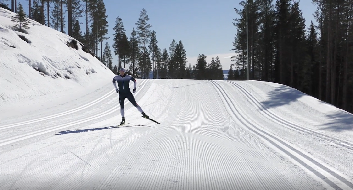 Fra lysløypetraseen Galleribilde