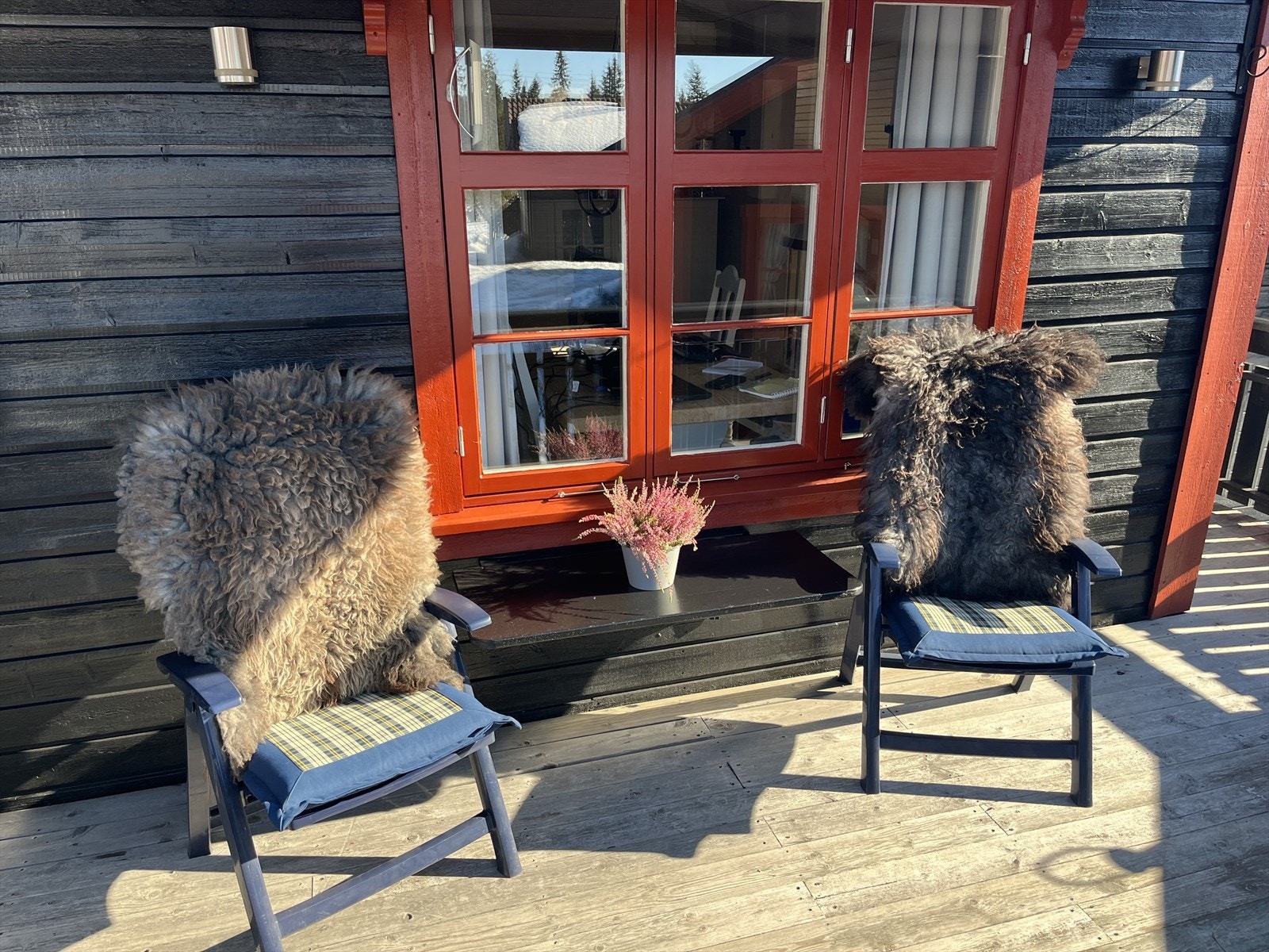 IMG_2224.jpeg Galleribilde