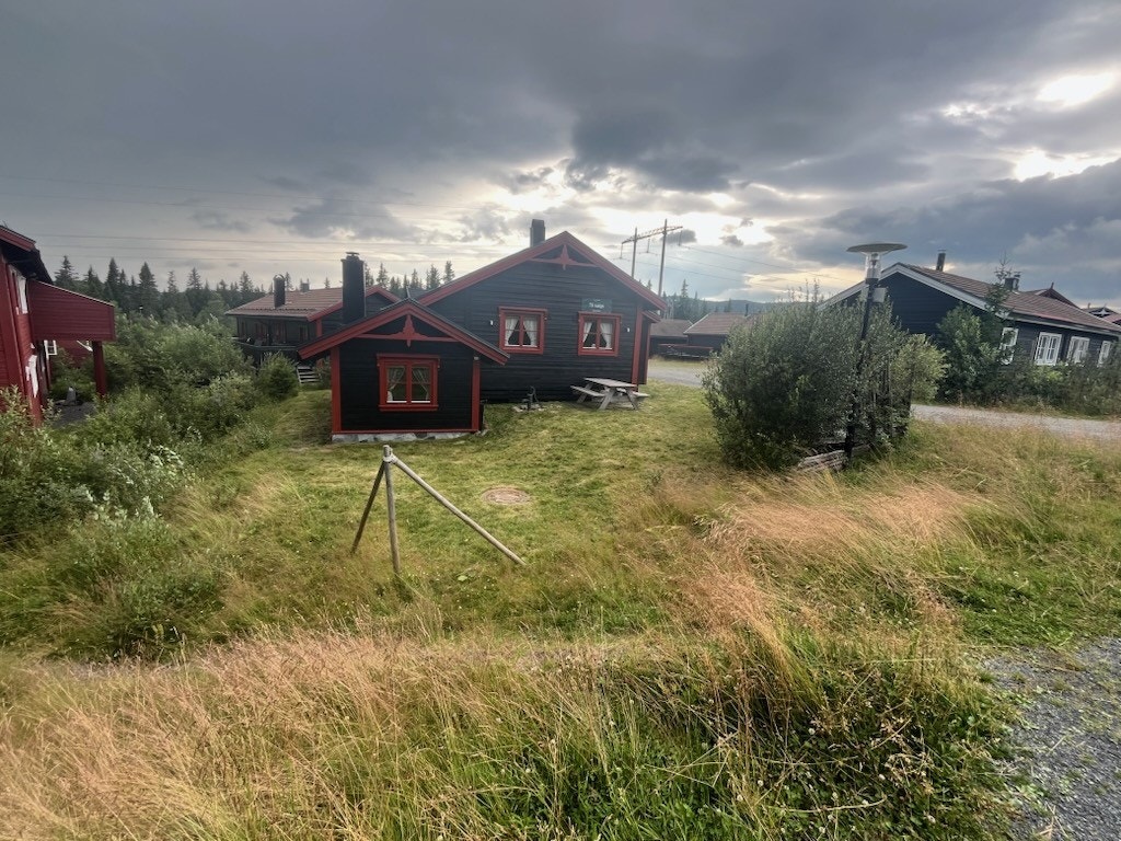 Privat foto. Galleribilde