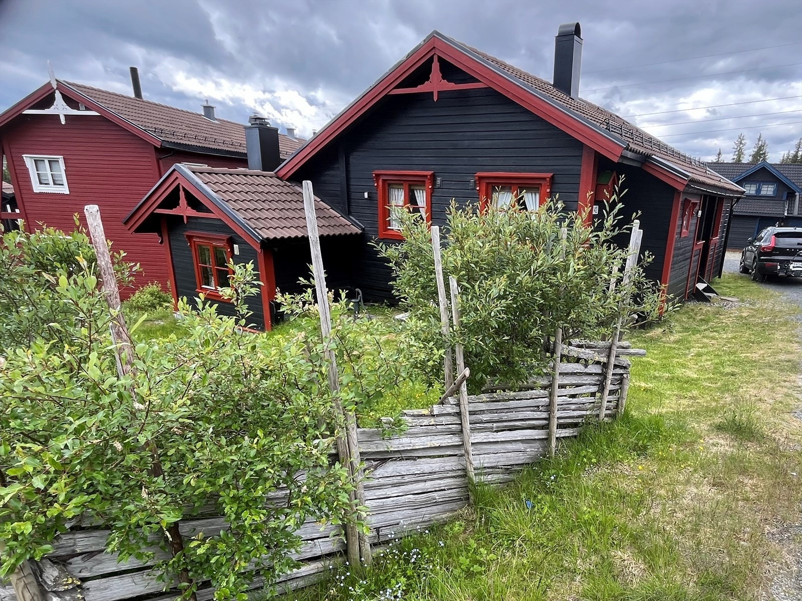 Privat foto. Galleribilde