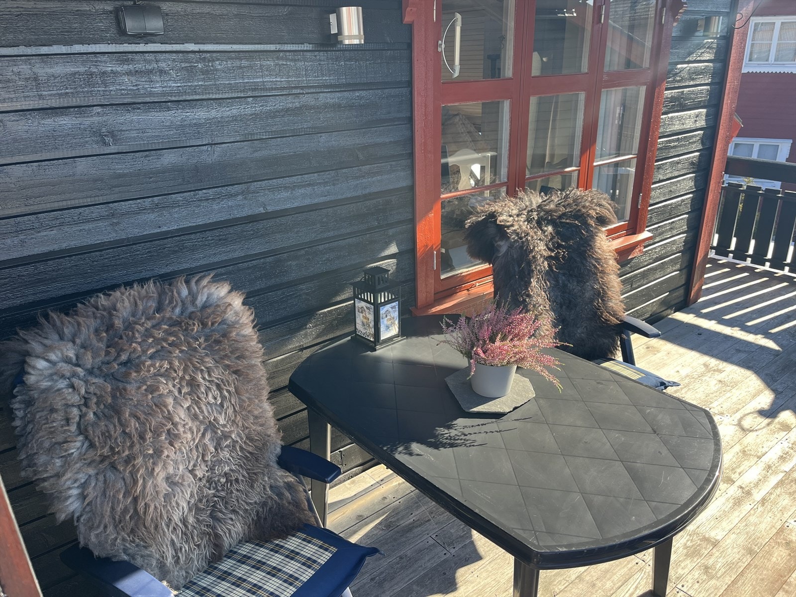 IMG_2221.jpeg Galleribilde