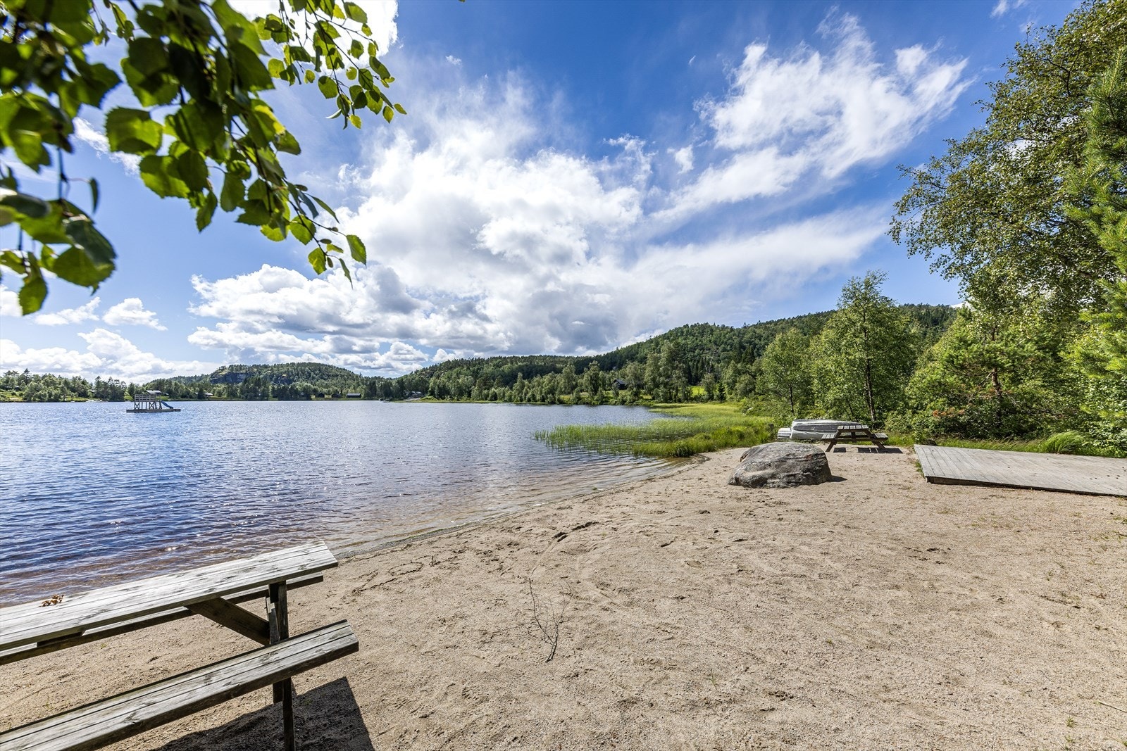Sommerbilde fra nærområdet Galleribilde
