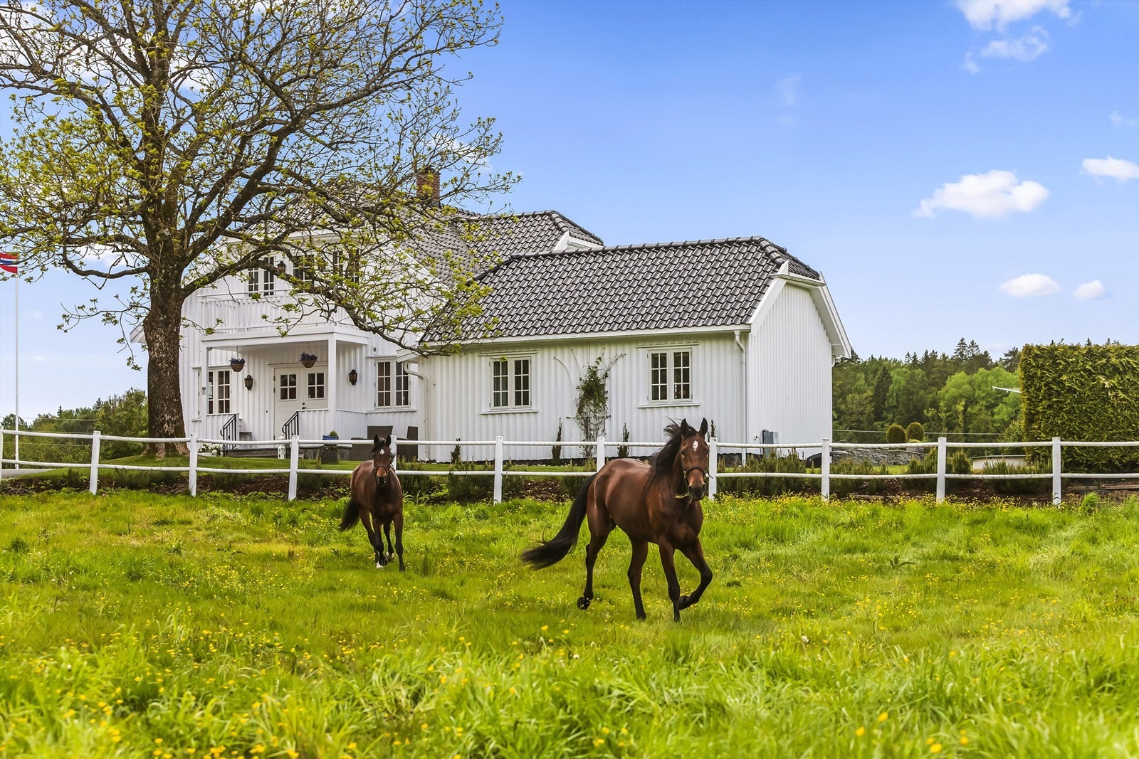 Rett utenfor inngangsdøren på hovedhuset/våningshuset har man hestebeiter. Drømmen for en hesteinteressert! Galleribilde