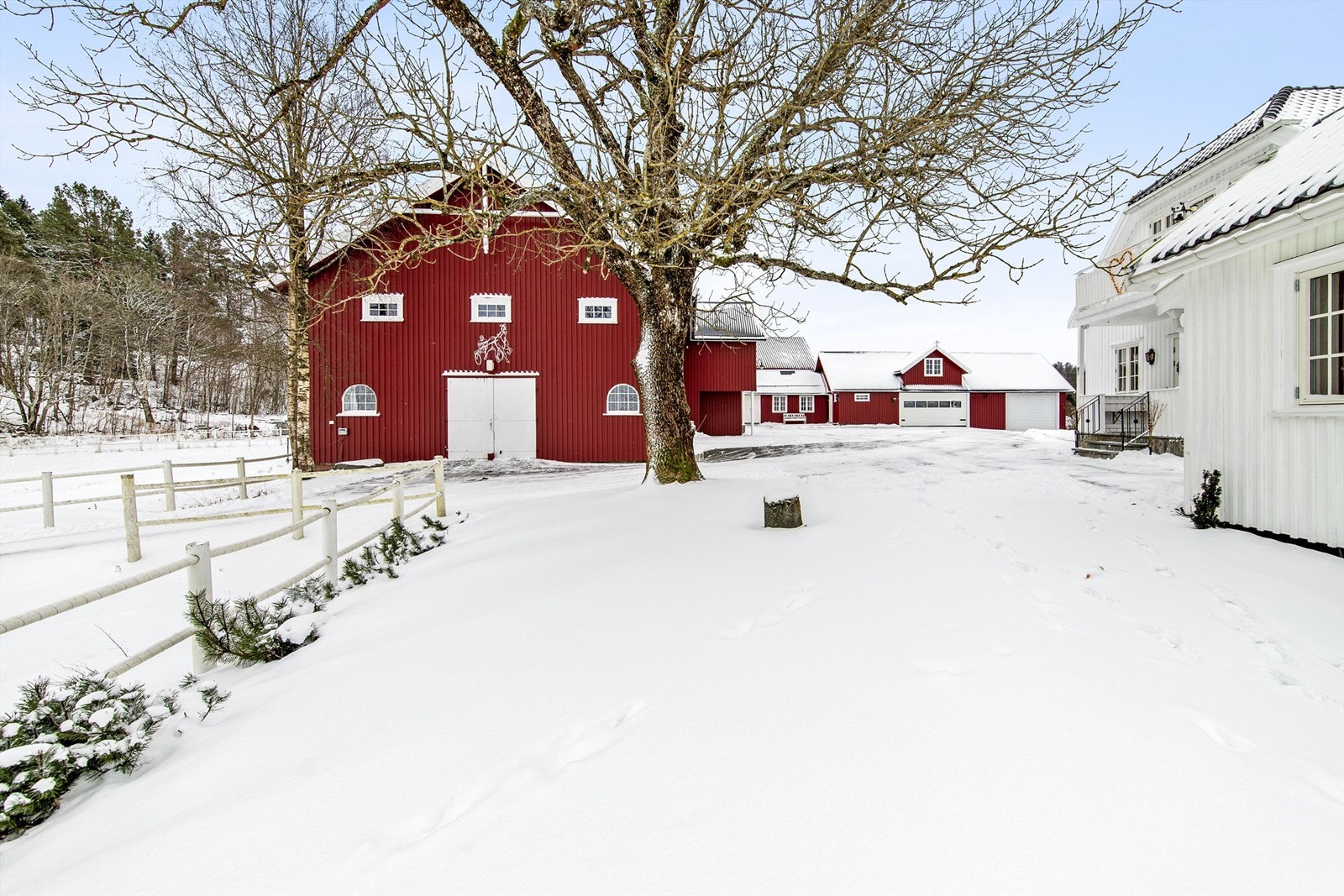 I 1.etasje av låven finner du stallen Galleribilde