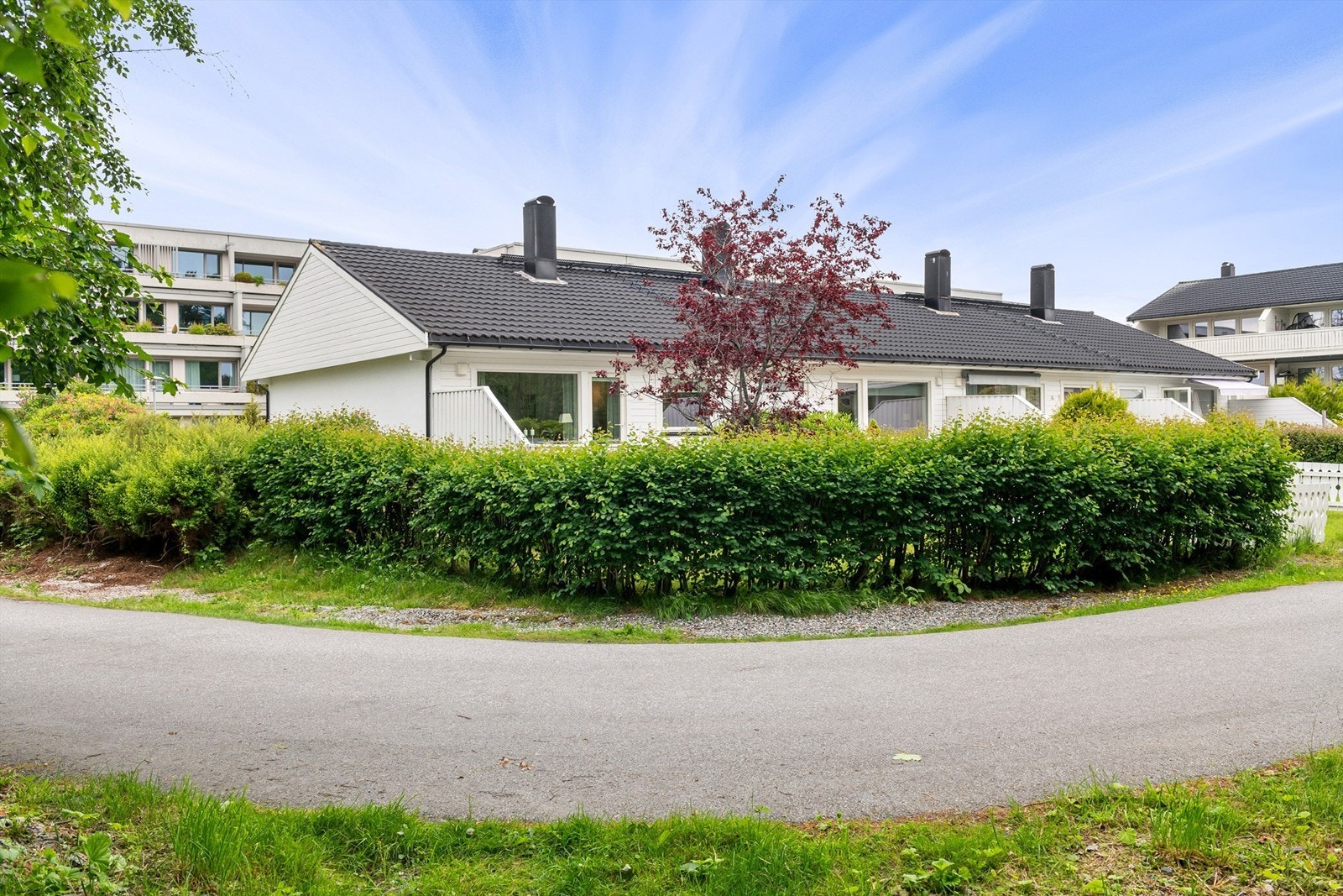 Sommerbilde fra tidligere eier Galleribilde