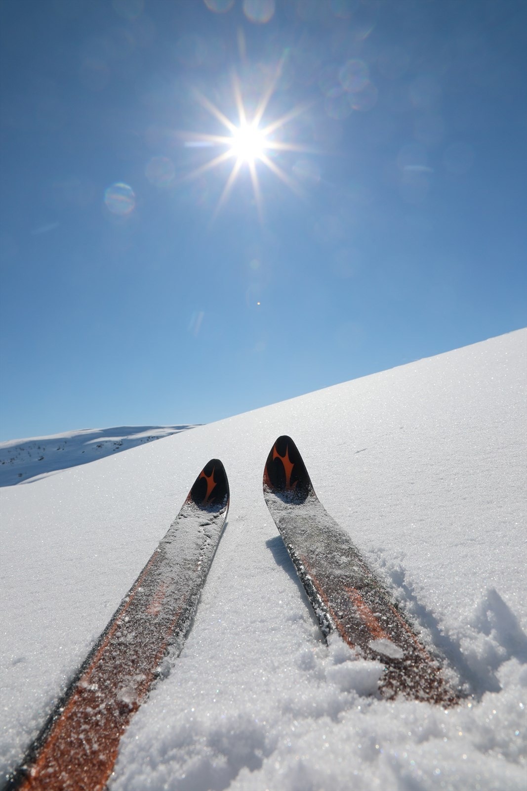 Nærområde Galleribilde