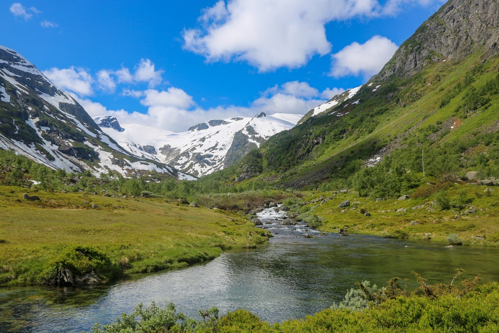 Nærområde Galleribilde