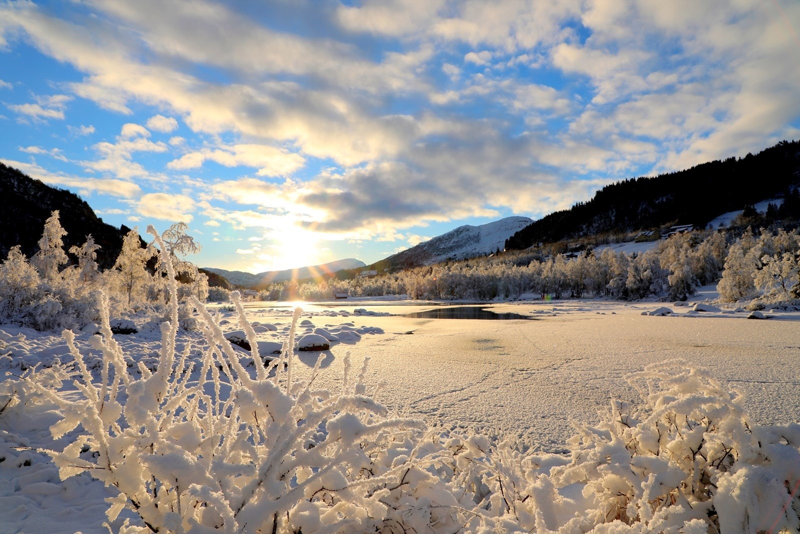 Nærområde(privat bilde) Galleribilde