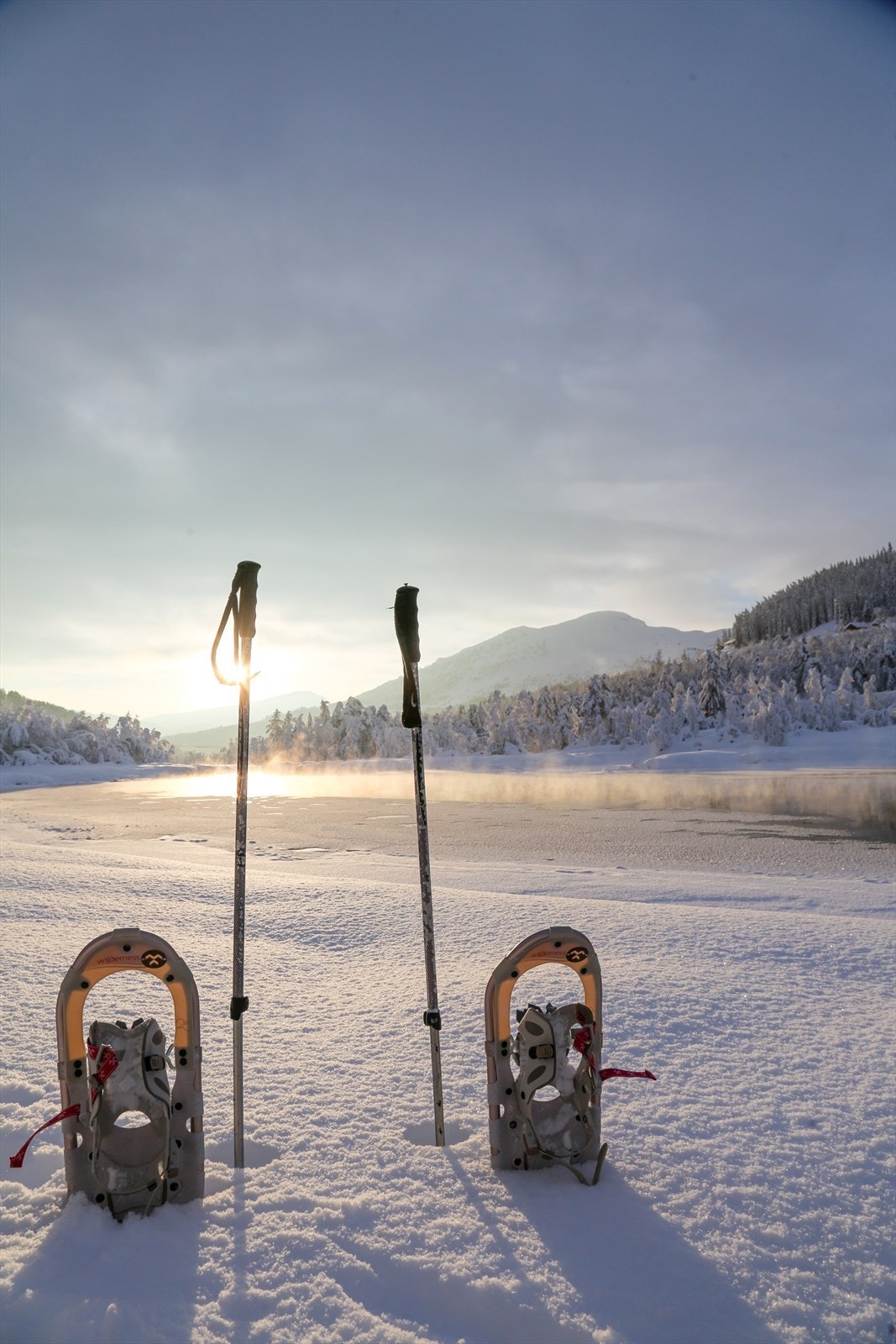 Nærområde Galleribilde