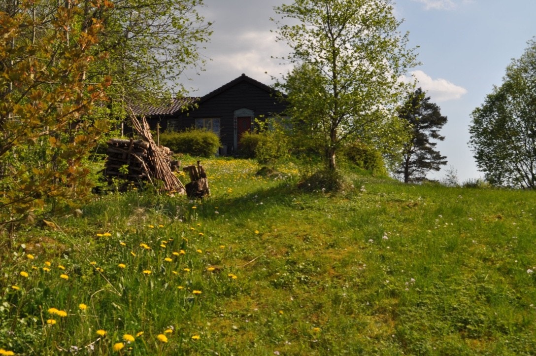 Eiers sommerbilder Galleribilde