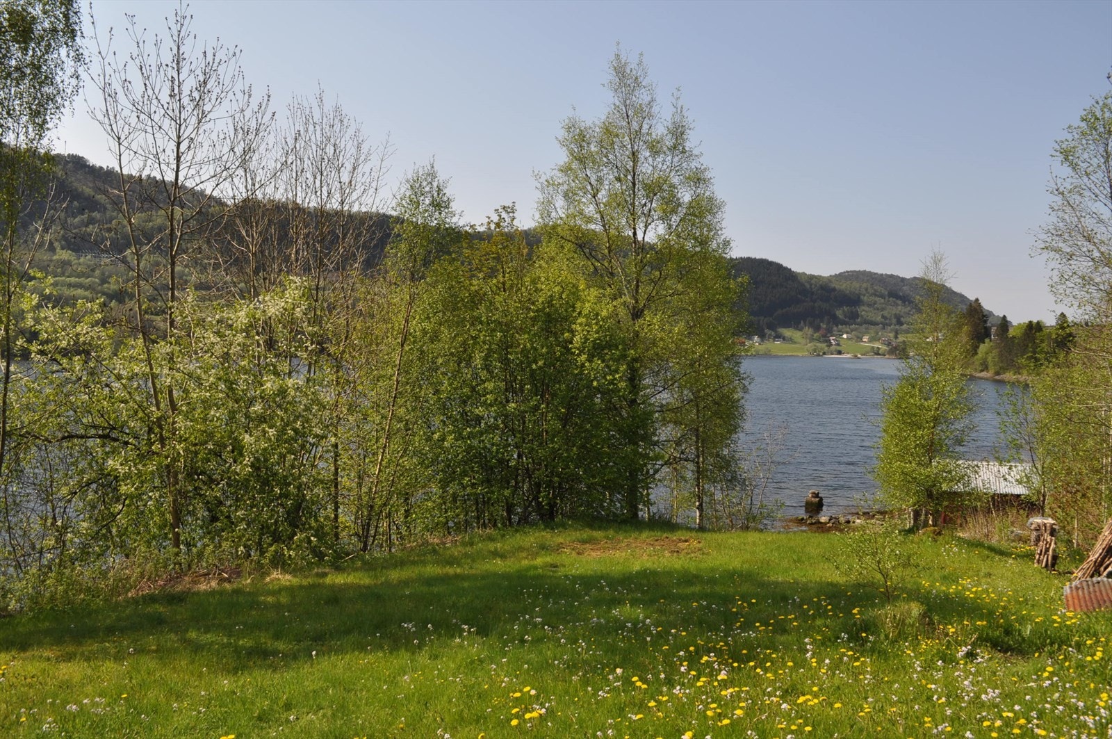 Eiers sommerbilder Galleribilde