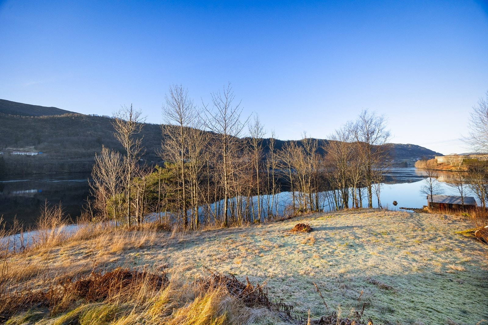 Hage mot naustet. Galleribilde