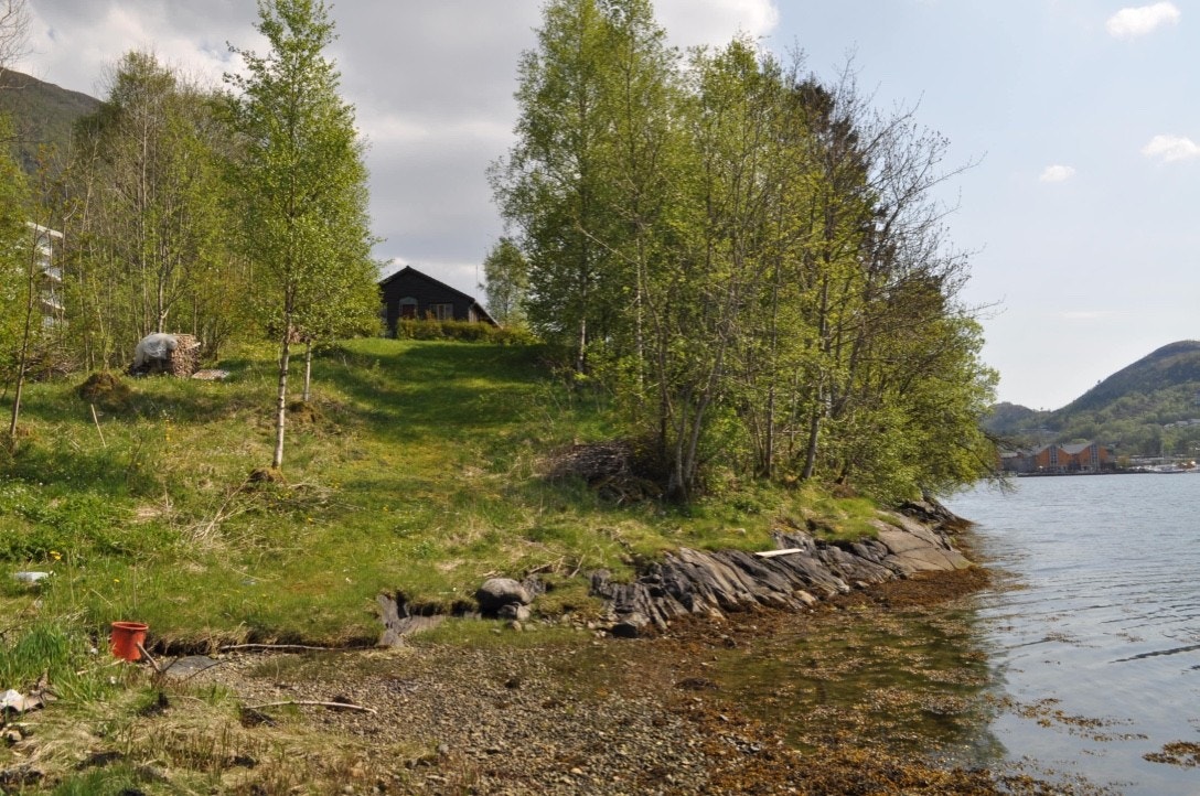 Eiers sommerbilder Galleribilde