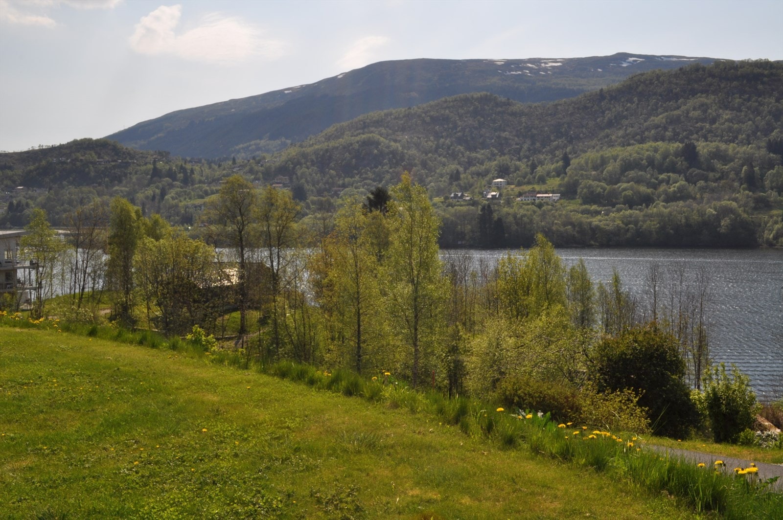 Eiers sommerbilder Galleribilde