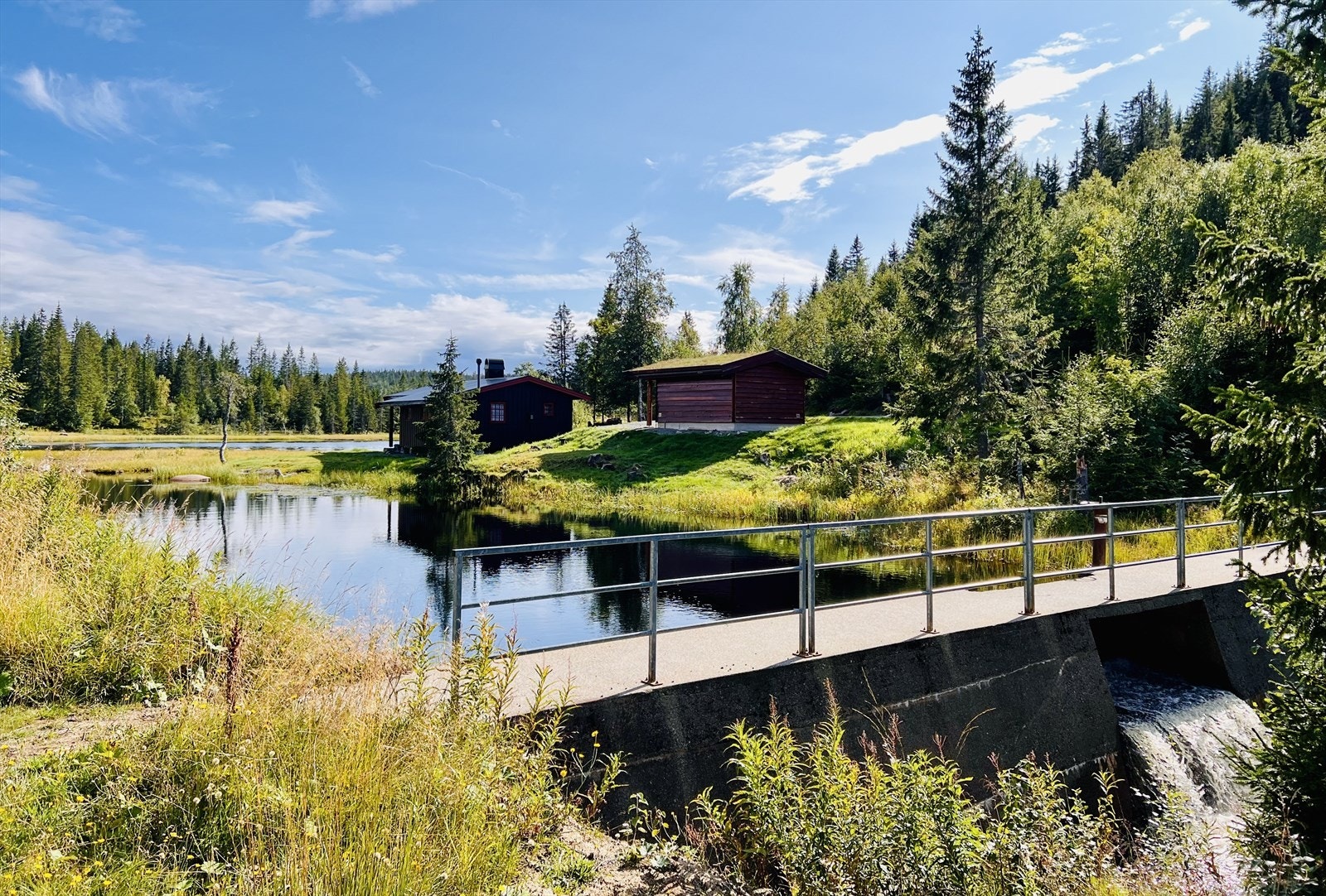 Nærområde Galleribilde