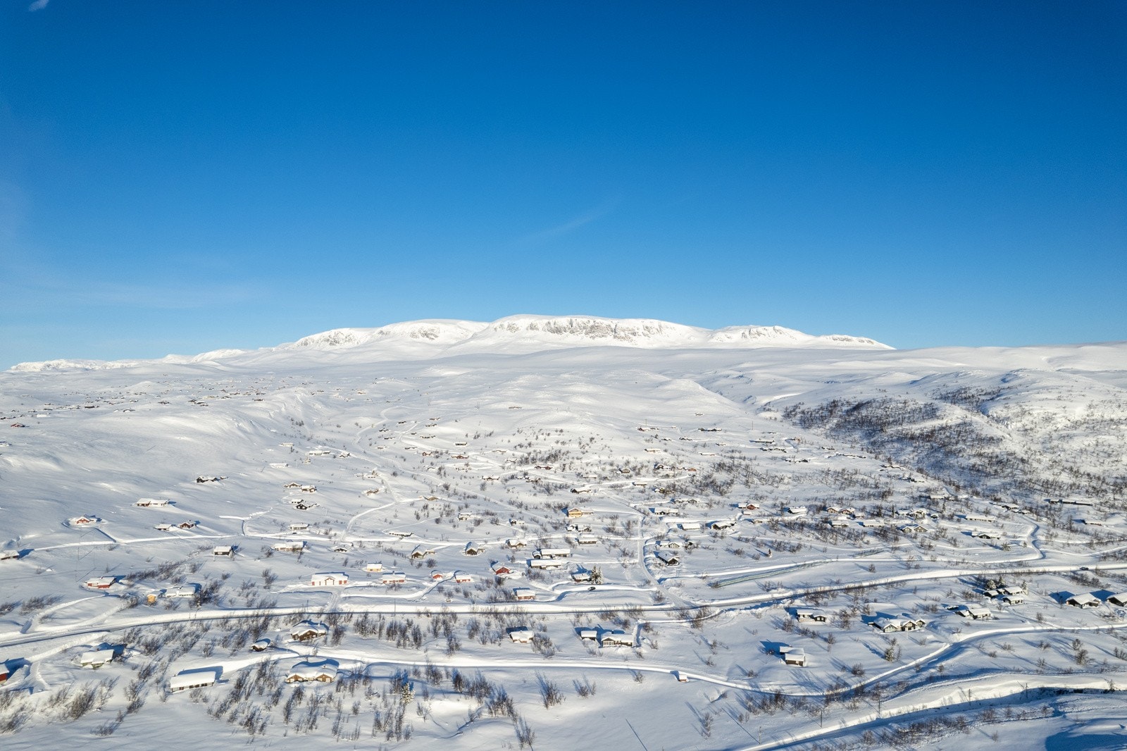 Majestetiske Hallingskarvet i bakgrunnen Galleribilde