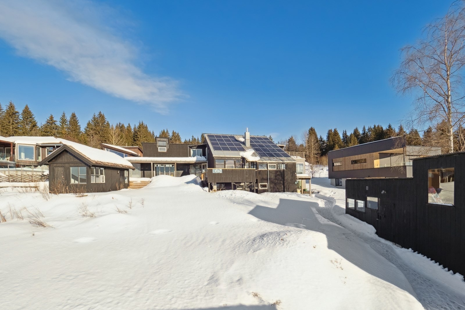 Mastefoto Galleribilde