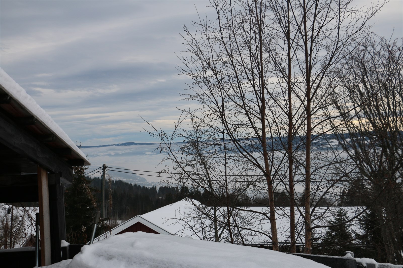 IMG_2533.JPG Galleribilde