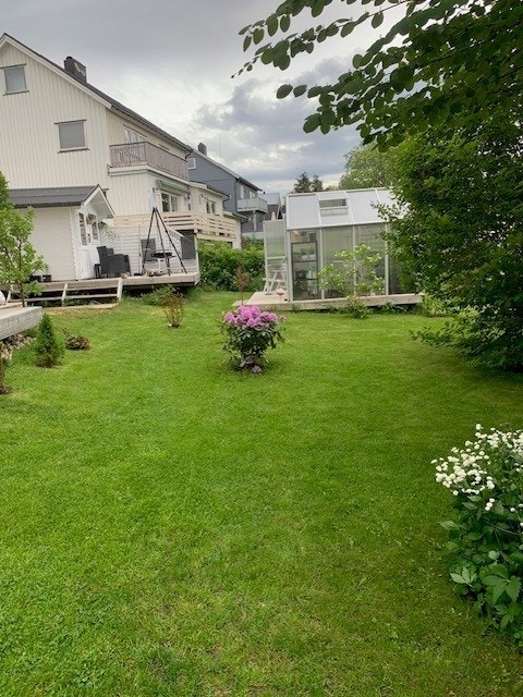 Det er et drivhus på eiendommen om gir et perfekt sted for å dyrke både eksotiske planter og nyttevekster. Galleribilde