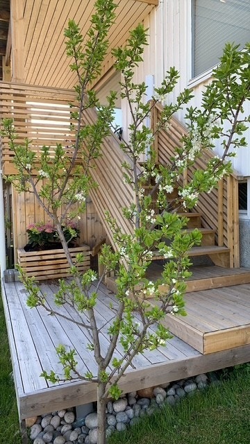 Fra første etasje er det trapp ned til markplatting. Galleribilde