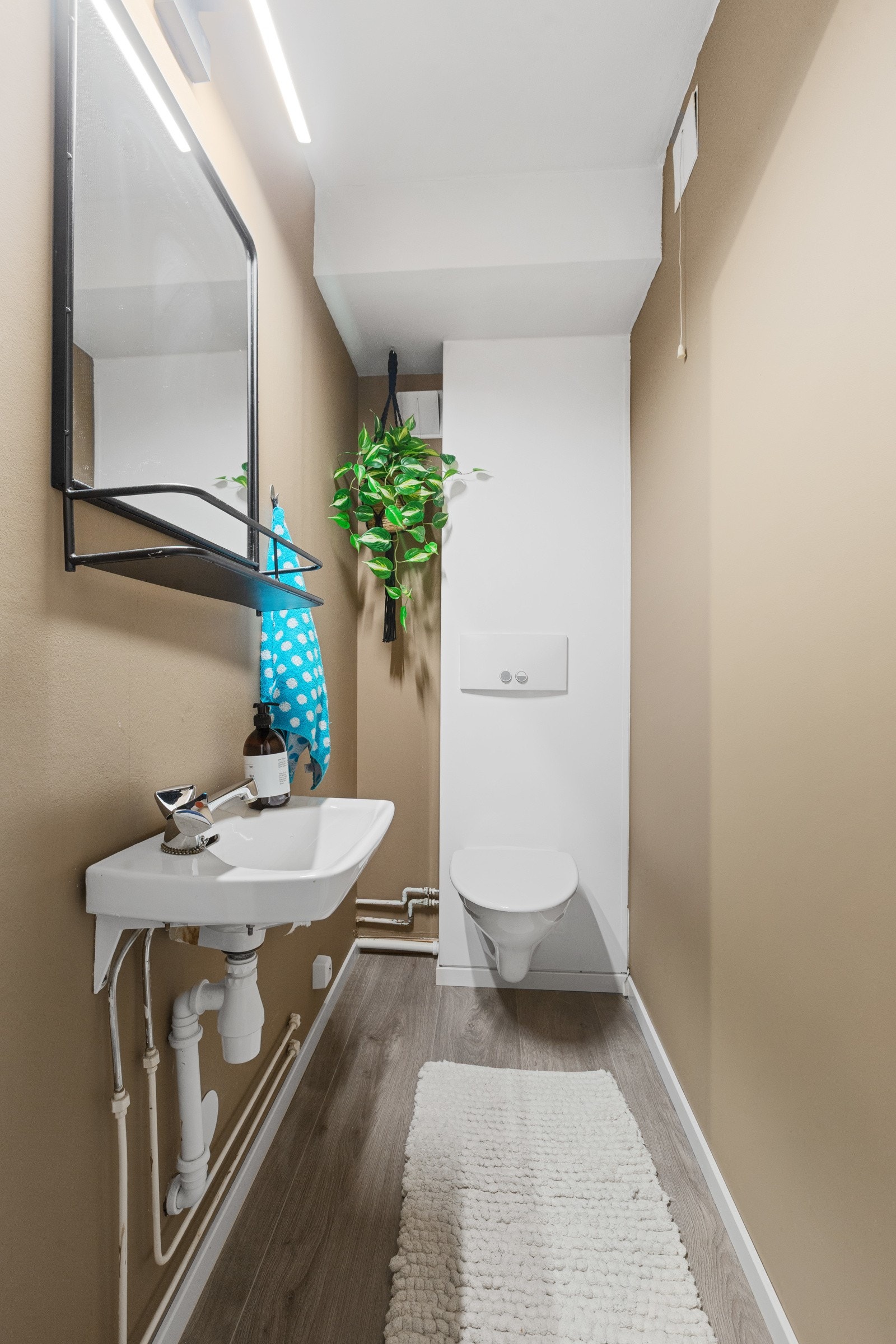 Toalett Galleribilde